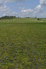 Piste en herbe renforcee